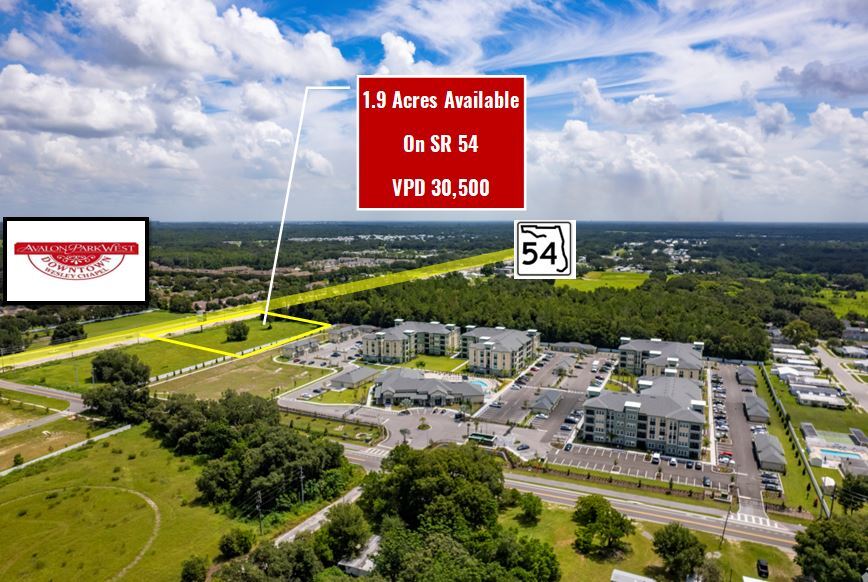 More Photos Of 0 State Road 54, Wesley Chapel Land For Sale