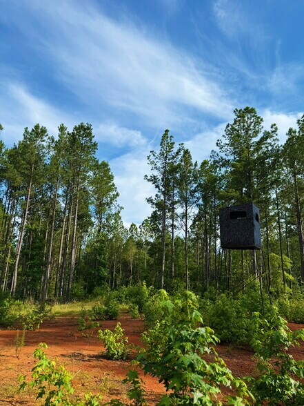 More Photos Of 00 Kennedy Rd, Winnsboro Land For Sale