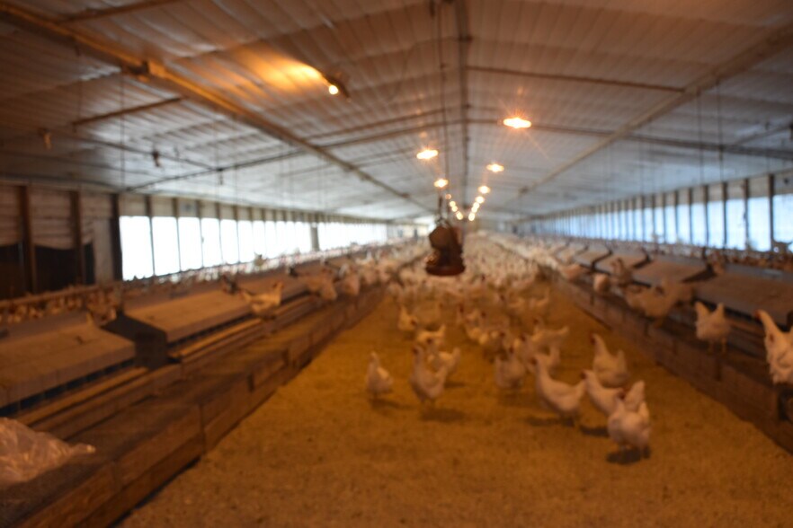 More Photos Of 441 Weaver Rd, Moultrie Land For Sale