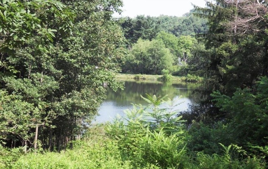 Primary Photo Of 1 Parcel C Rifle Rd, Latrobe Land For Sale