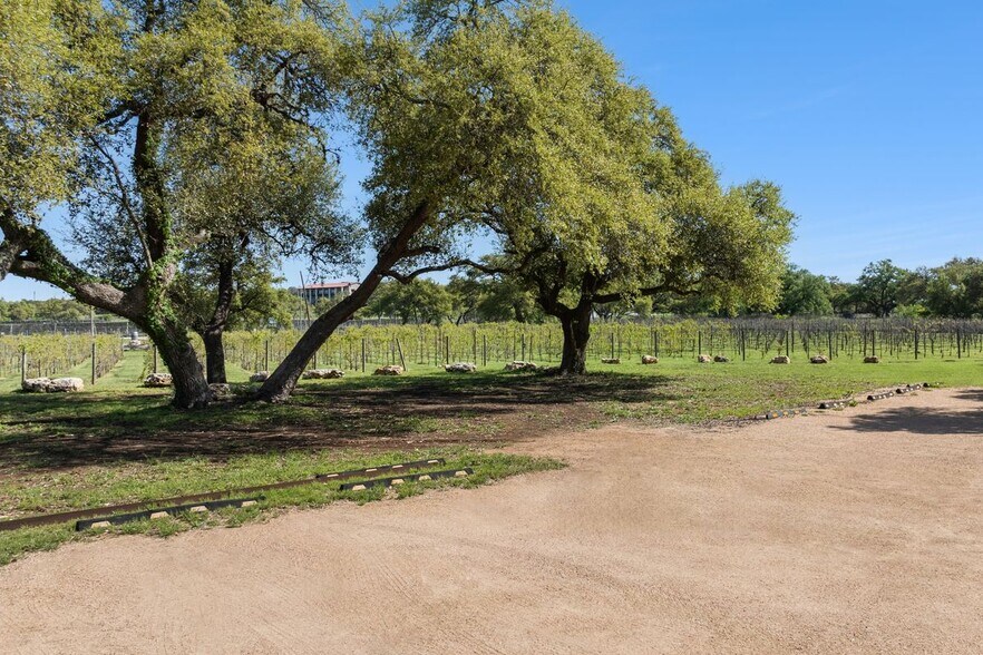 More Photos Of 18059A Ranch to Market Road 1826, Driftwood Winery Vineyard For Sale