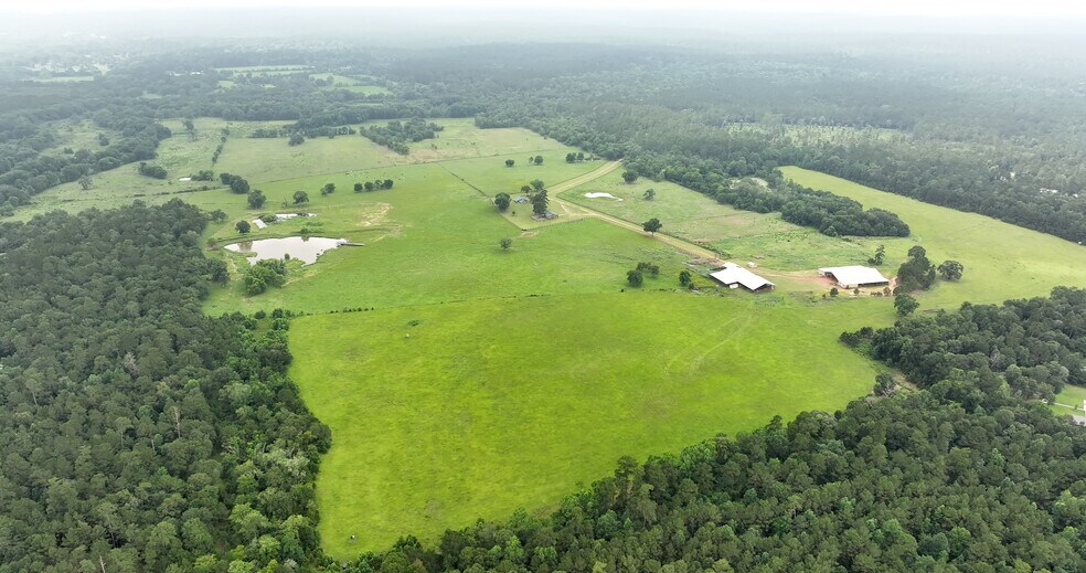 More Photos Of 44 Bucking Bull Rd, New Waverly Land For Sale