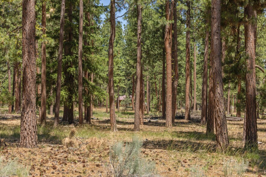 More Photos Of 0 Blue Wing Street, Keno Land For Sale