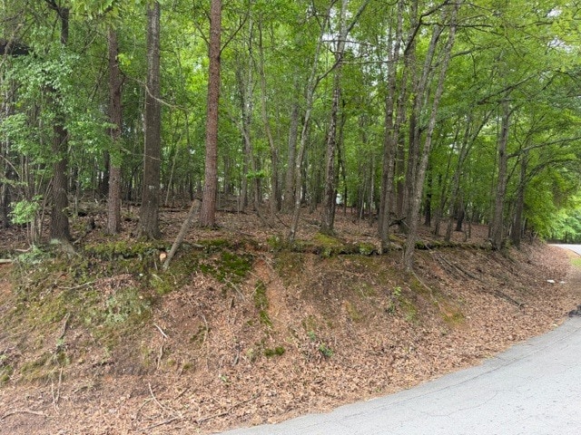 More Photos Of 357 Linwood dr, Gainesville Land For Sale
