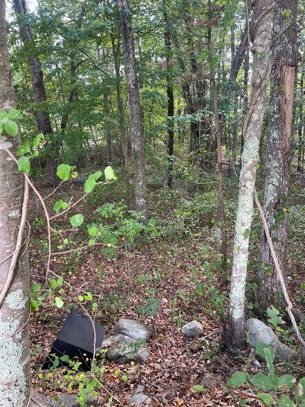 More Photos Of 77 Foster Rd, Waterford Land For Sale