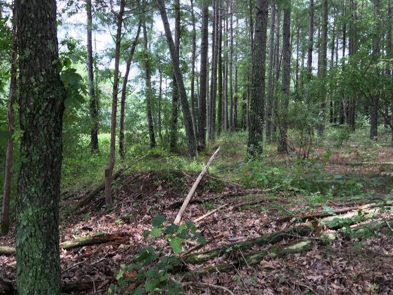 More Photos Of Parrish Ridge Ln, Goreville Land For Sale