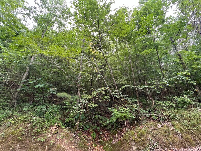 More Photos Of Pinyan, Ranger Land For Sale