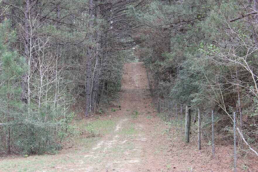 More Photos Of 16046 Honea Rd W, Montgomery Land For Sale