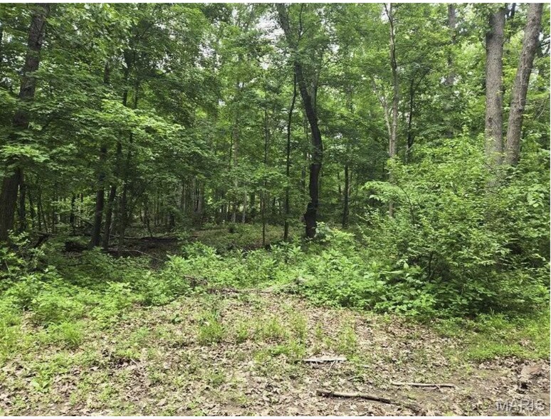 More Photos Of 6959 W Fellin Drive, Mount, Mount Olive Land For Sale