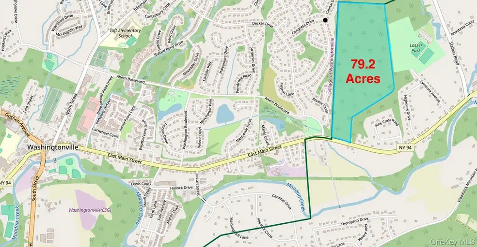 Primary Photo Of Route 94, Blooming Grove Land For Sale