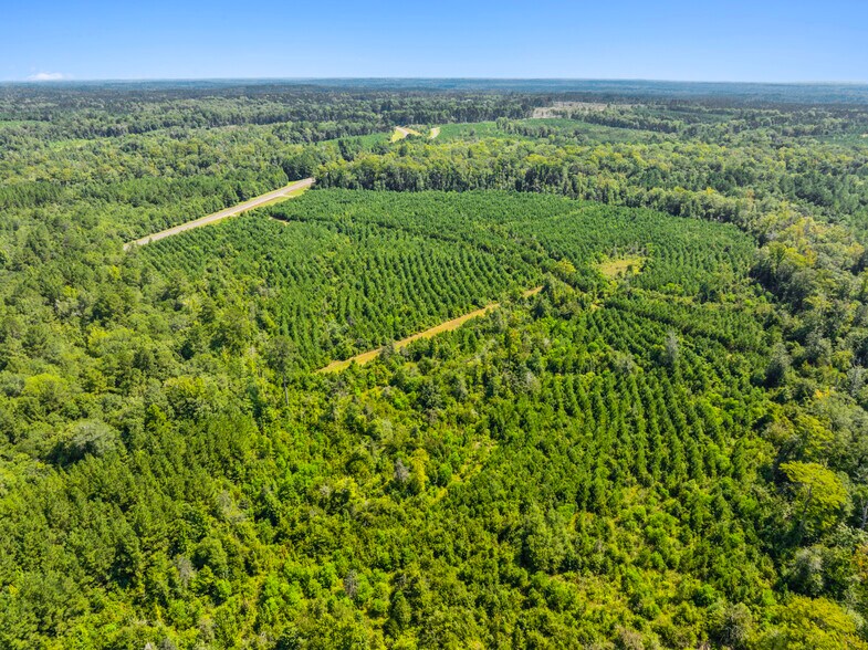 More Photos Of 7471 Highway 155, Saline Land For Sale