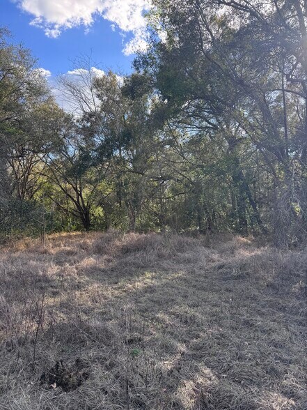 More Photos Of 16982 SE Highway 42, Weirsdale Land For Sale