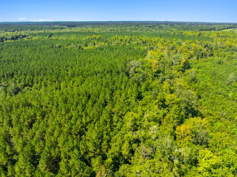 More Photos Of 7471 Highway 155, Saline Land For Sale