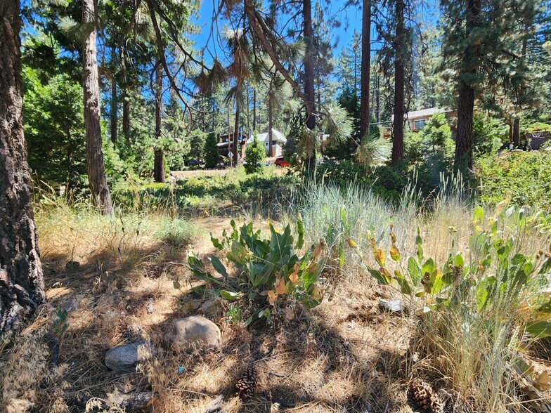 More Photos Of 8945 North Lake Boulevard Blvd, Kings Beach Land For Sale