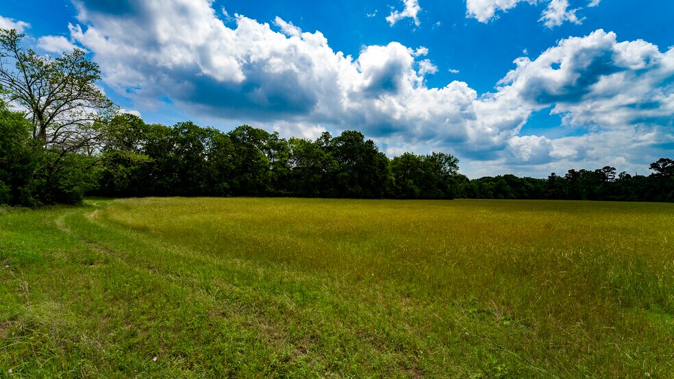 More Photos Of 000 Farm to Market Road 1488, Magnolia Land For Sale
