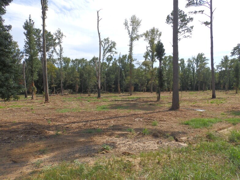 More Photos Of 16393 Highway 31, Tyler Land For Sale