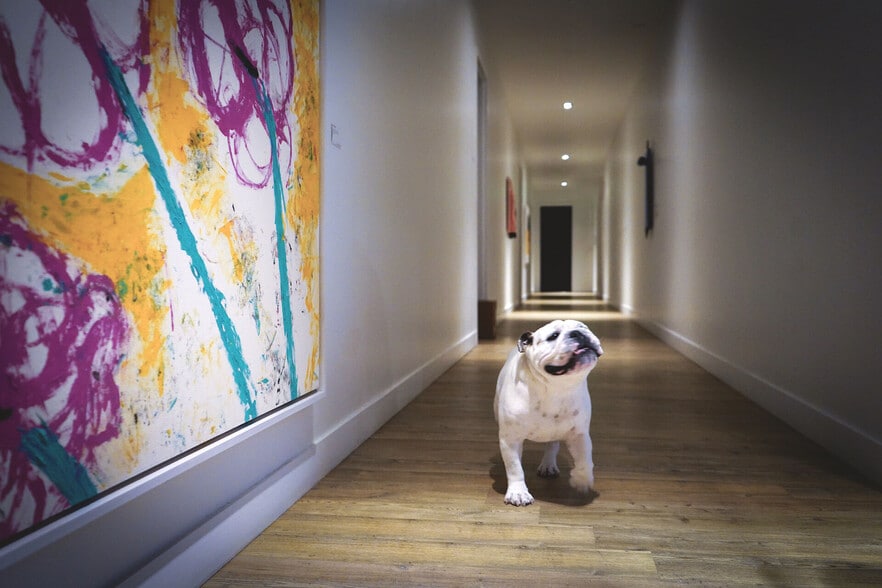 More Photos Of 600 W Main St, Charlottesville Apartments For Lease