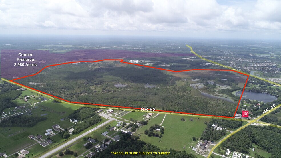 Primary Photo Of 19858 State Road 52, Land O' Lakes Land For Sale