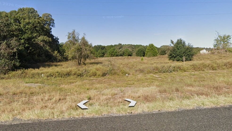 More Photos Of 28419 Hwy 6, Hempstead Land For Sale