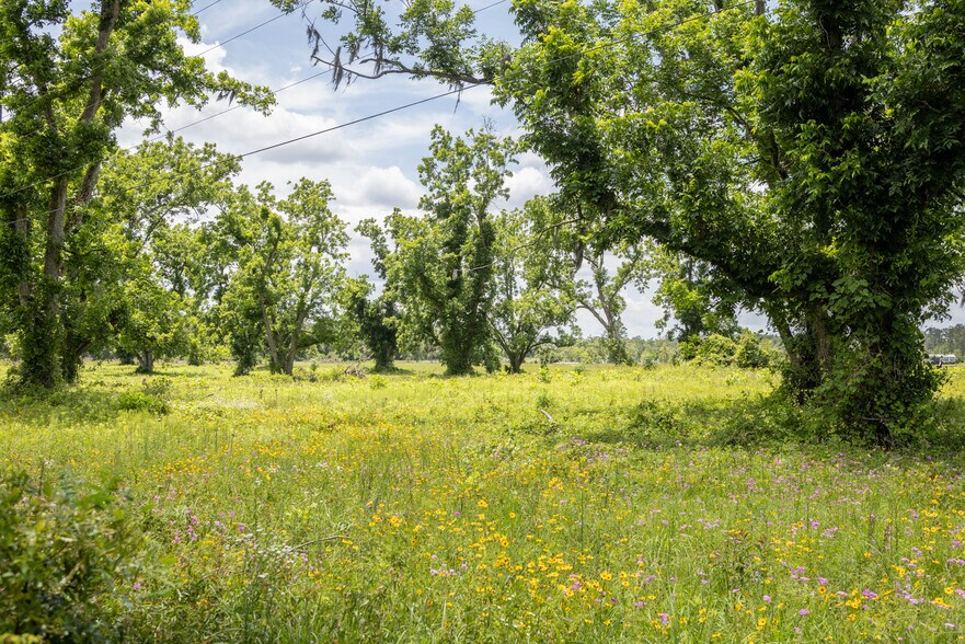 More Photos Of 000 US Highway 90, Live Oak Land For Sale