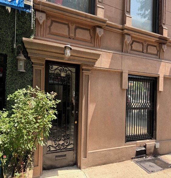 More Photos Of 239 E 116th St, New York Apartments For Sale