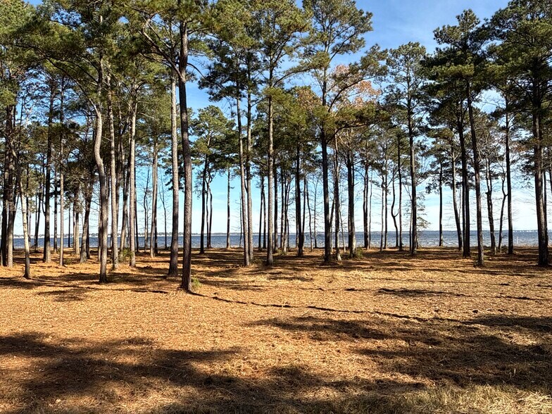 More Photos Of 0 Norfleet Shores Road, Belhaven Land For Sale