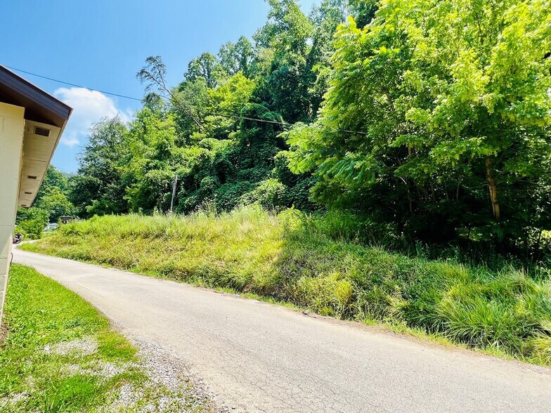 More Photos Of 101 Shucky Bean Hollow rd, Jackson Land For Sale