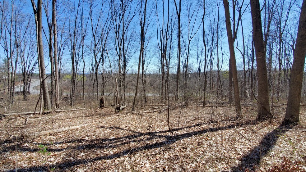 More Photos Of Old Plank Rd, Coxsackie Land For Sale