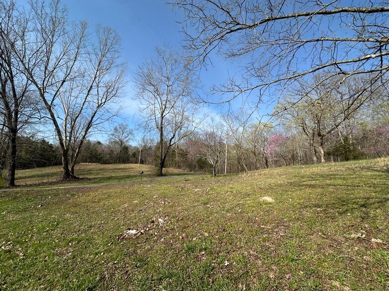 More Photos Of 7312 Highway 60, Georgetown Land For Sale