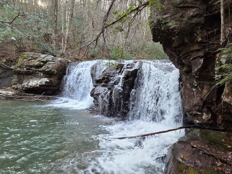 Primary Photo Of 576 Kelly Creek Rd, Whitwell Land For Sale