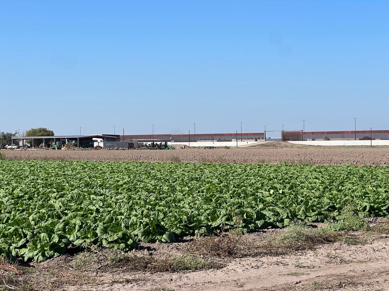 More Photos Of 271.62 Acs on West side of Pharr Intl. Bridge, Pharr Land For Sale