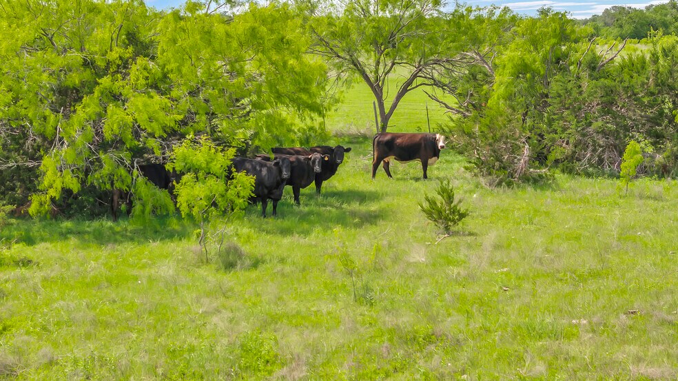 More Photos Of 8200 County Road 200, Burnet Land For Sale