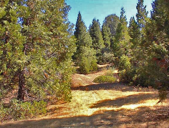 More Photos Of Highway 180 Hwy 180, Miramonte Land For Sale