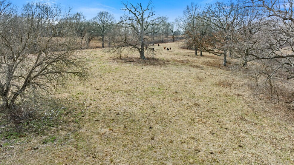 More Photos Of 17430 State HWY 0, Stark City Land For Sale