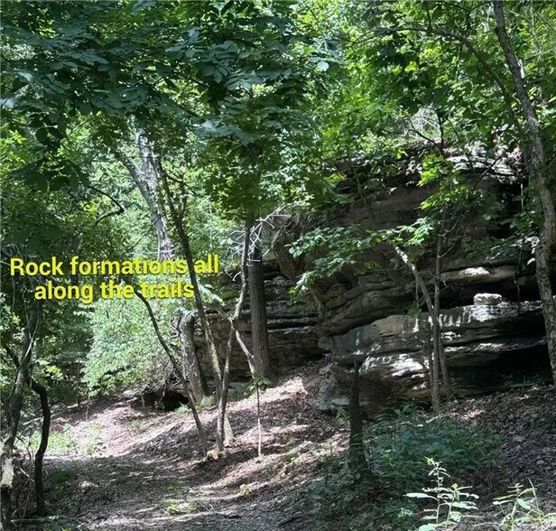 More Photos Of 190 Edgewater Dr, Eureka Springs Land For Sale