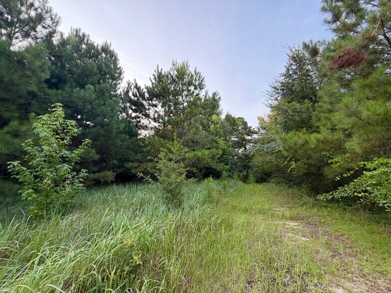 More Photos Of 0 Odom Lane, Chatom Land For Sale