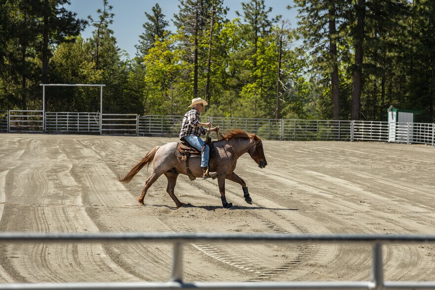 More Photos Of 35350 State Highway 36 E, Paynes Creek Land For Sale