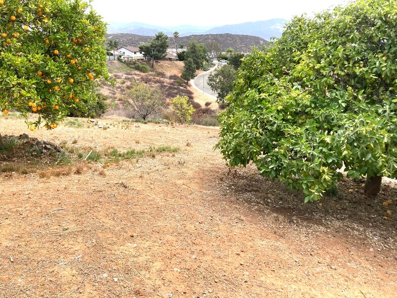 More Photos Of 0 Calle Los Arboles, Spring Valley Land For Sale
