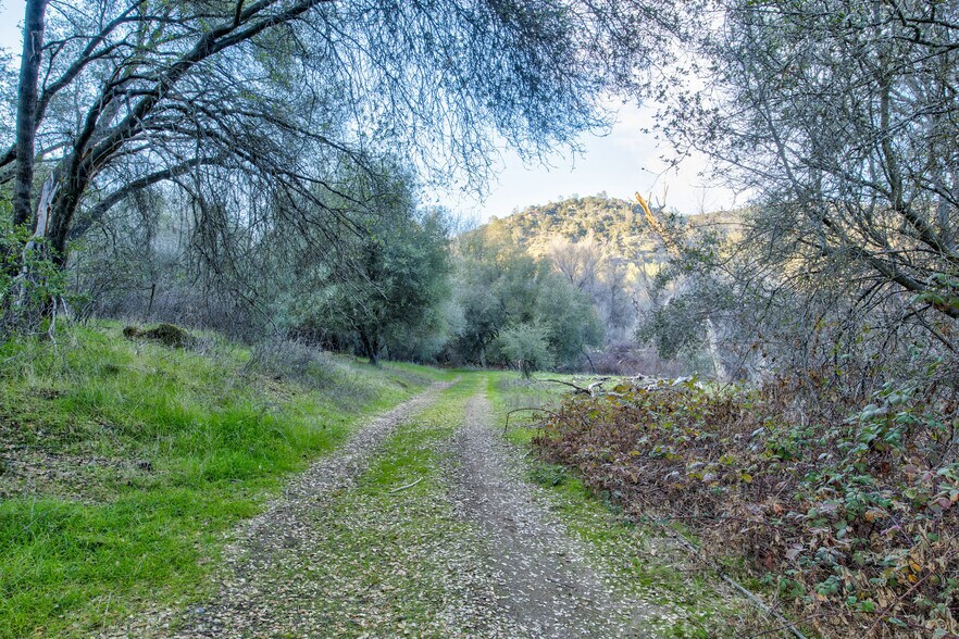 More Photos Of 50871 Road 200, O Neals Land For Sale