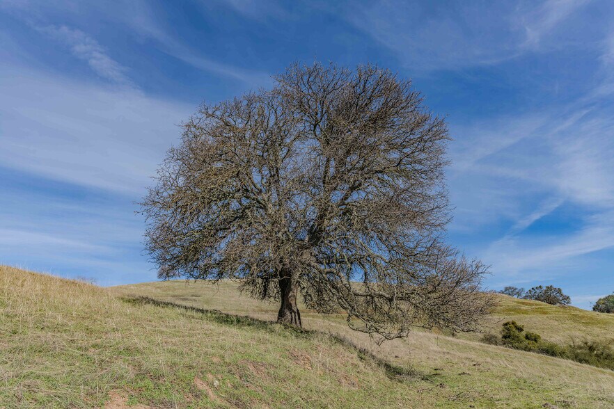 More Photos Of Old Highway 49, Sutter Creek Land For Sale