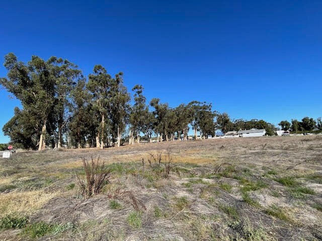 More Photos Of 315 Hunter St, Ramona Land For Sale