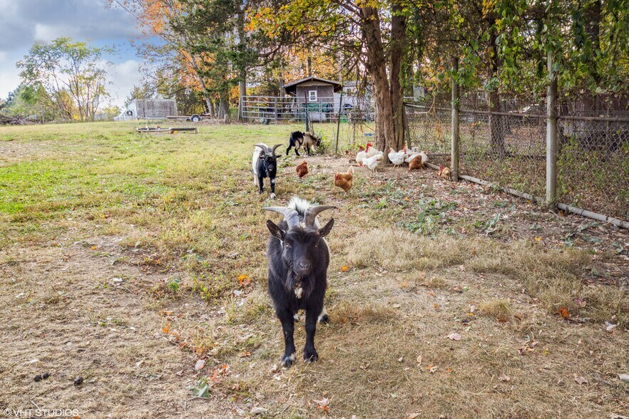 More Photos Of 3 Horsemens Trl, Cold Spring General Retail For Sale