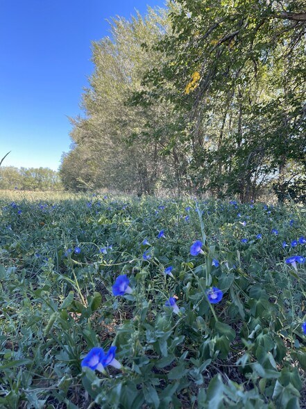 More Photos Of Polvadera Rd, Polvadera Land For Sale