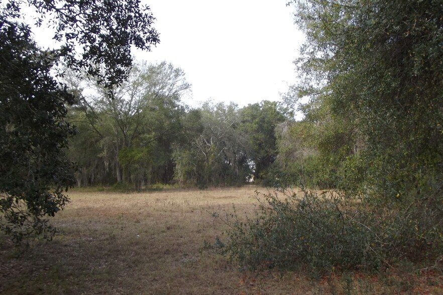 Lucas St, Leesburg, FL 34748 Land For Sale