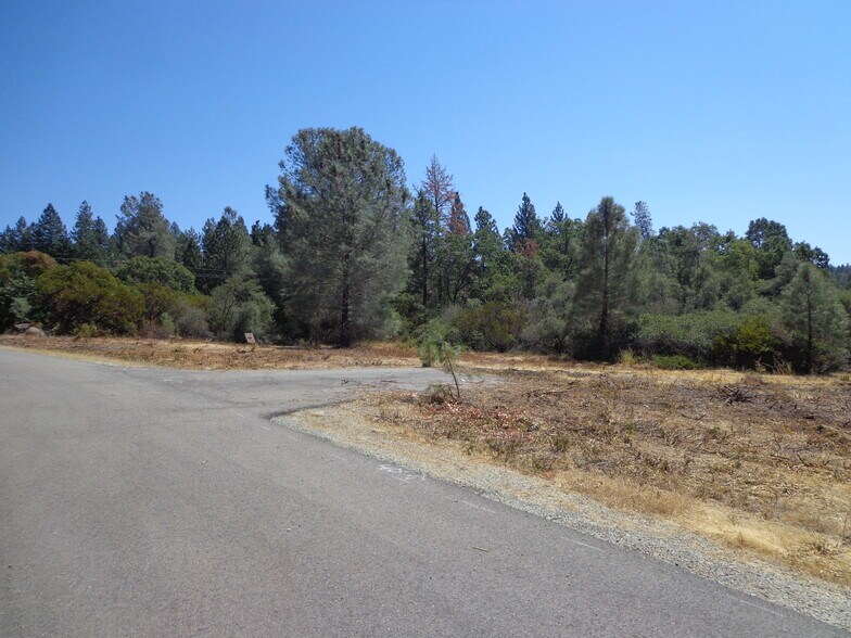 More Photos Of Broadview Dr. and Black Butte rd., Shingletown Land For Sale