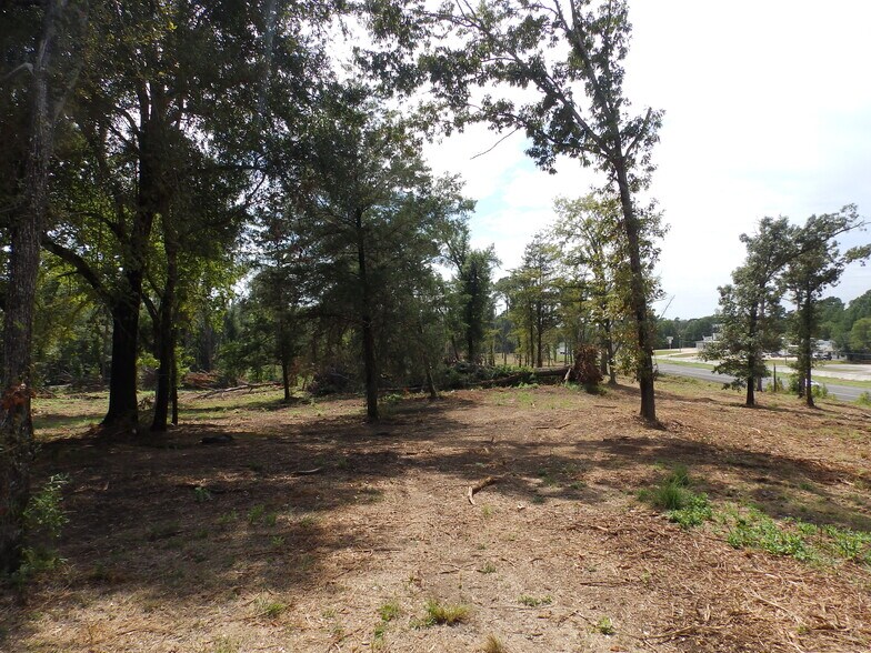 More Photos Of 16393 Highway 31, Tyler Land For Sale