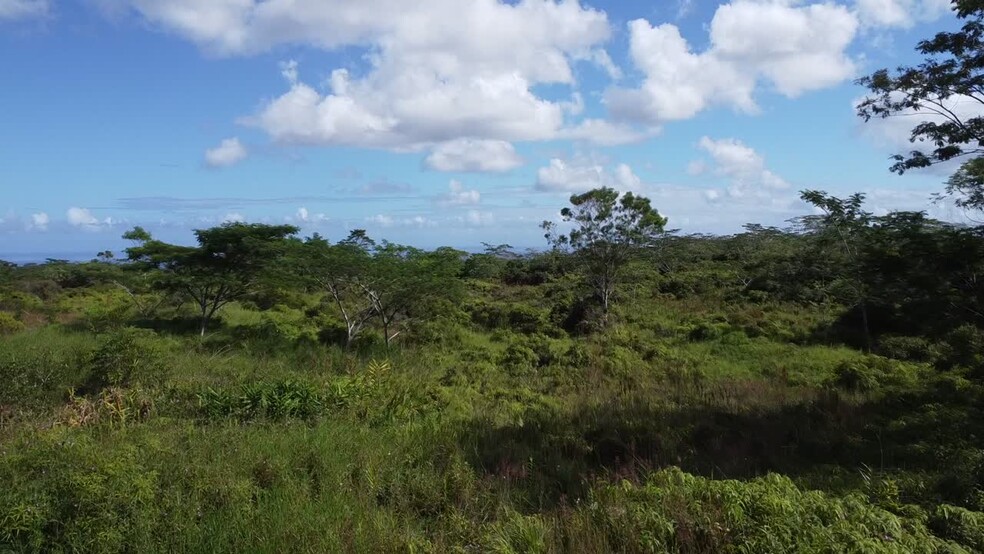 Primary Photo Of Puainako Street Extension Below South Wilder Road, Hilo Land For Sale