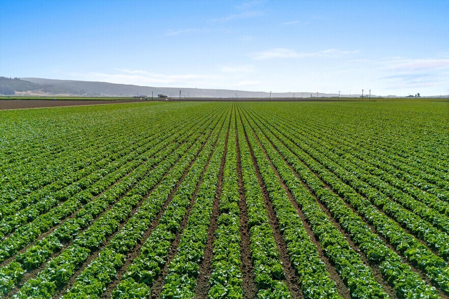 More Photos Of 901 Floradale Ave, Lompoc Land For Sale