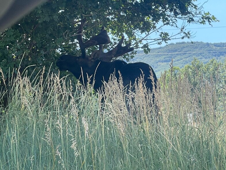 More Photos Of 14816 Austin Cir, Huntsville Specialty For Sale