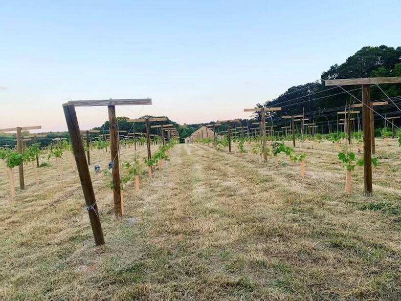 More Photos Of 77 Little River Rd, Carrollton Specialty For Sale